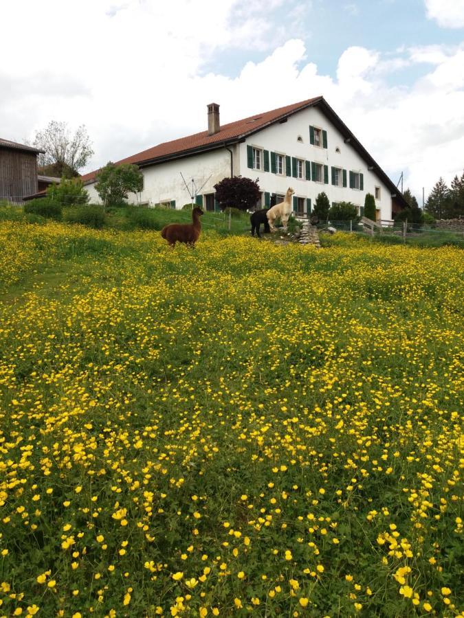 Ferme O'clés * Le Peuchapatte
